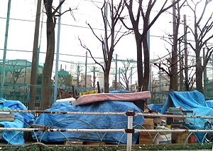 玉姫公園の一角。児童が遊ぶスペースは、奥にあるフェンスの向こう側。 玉姫公園の一角。児童が遊ぶスペースは、奥にあるフェンスの向こう側。