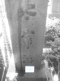 三鷹禅林寺には太宰治のお墓があります。破滅派フライヤーを捧げてきました 三鷹禅林寺には太宰治のお墓があります。破滅派フライヤーを捧げてきました